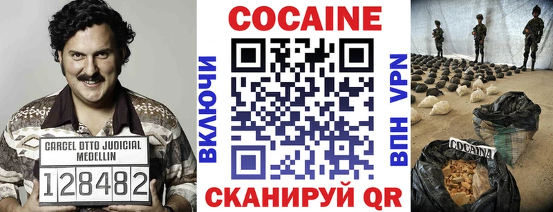 мега ТОР  маркетплейс наркотические препараты  Cocaine 98%  как найти закладки  Котлас 