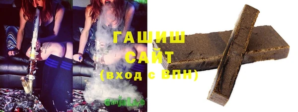 мдпв Богородск
