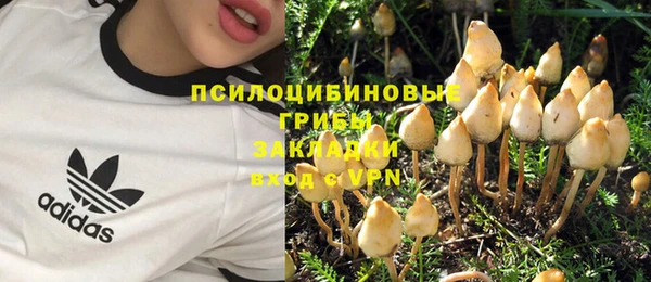 мдпв Богородск