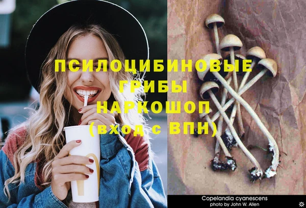 мескалин Бородино