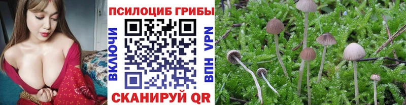 Галлюциногенные грибы Magic Shrooms  Котлас 